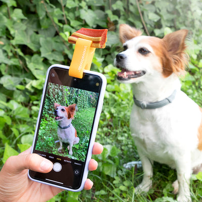 Clip Selfie pour Chien & Chat — Porte-Friandise Silicone pour Téléphone