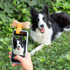 Clip selfie animaux — vue 5