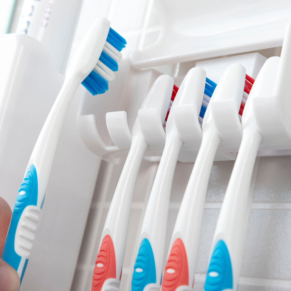 Distributeur de Dentifrice avec Porte-Brosse à Dents Diseeth