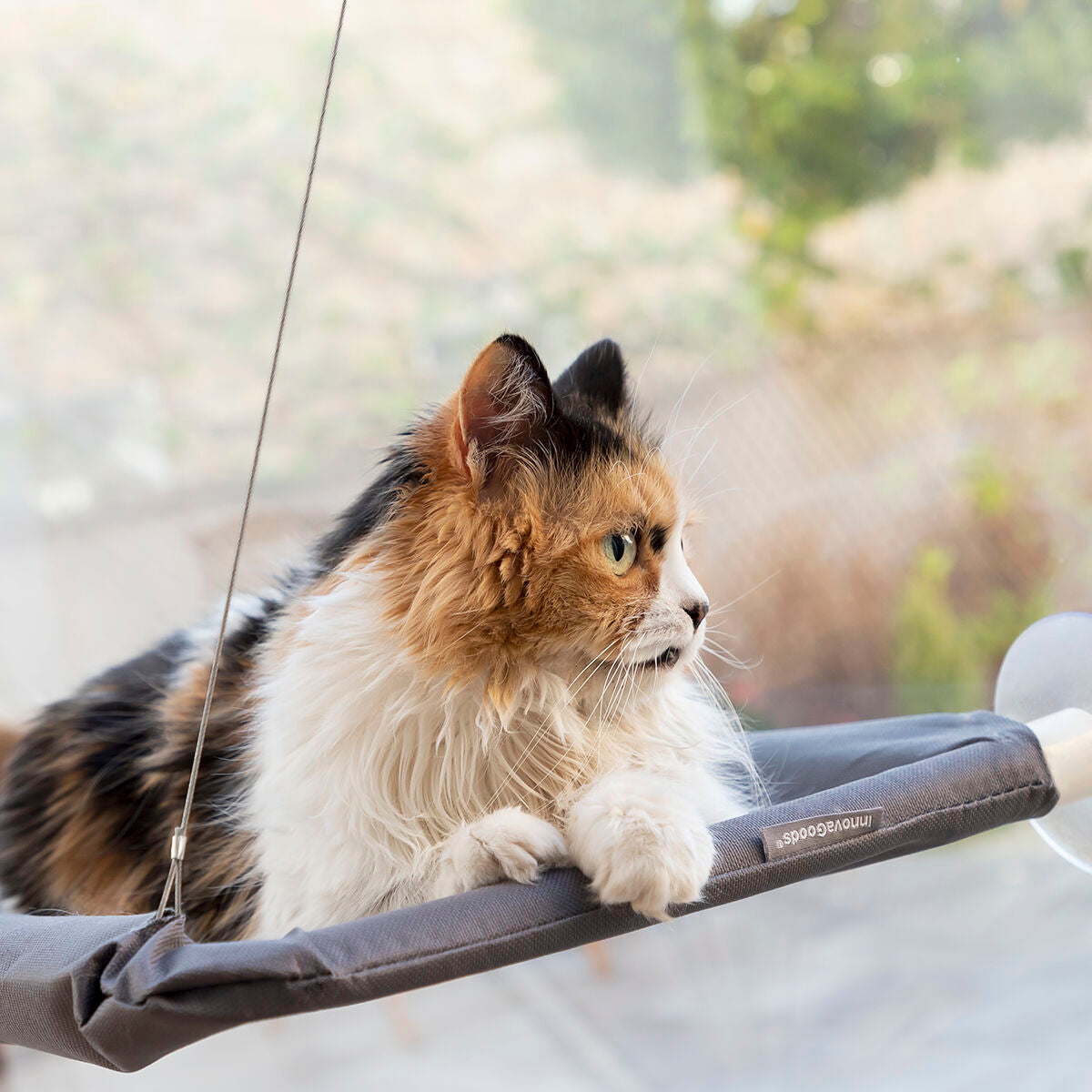 Hamac de Fenêtre pour Chat à Ventouses — Couchage Suspendu (supporte 30 kg)