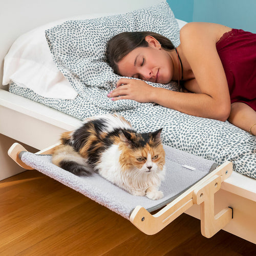 Hamac suspendu réglable pour chat