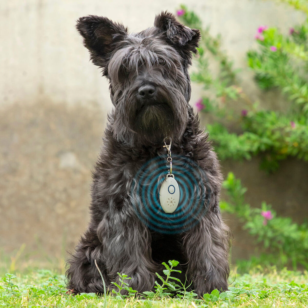 Répulsif Anti-Puces & Tiques à Ultrasons — Rechargeable USB pour Chien & Chat