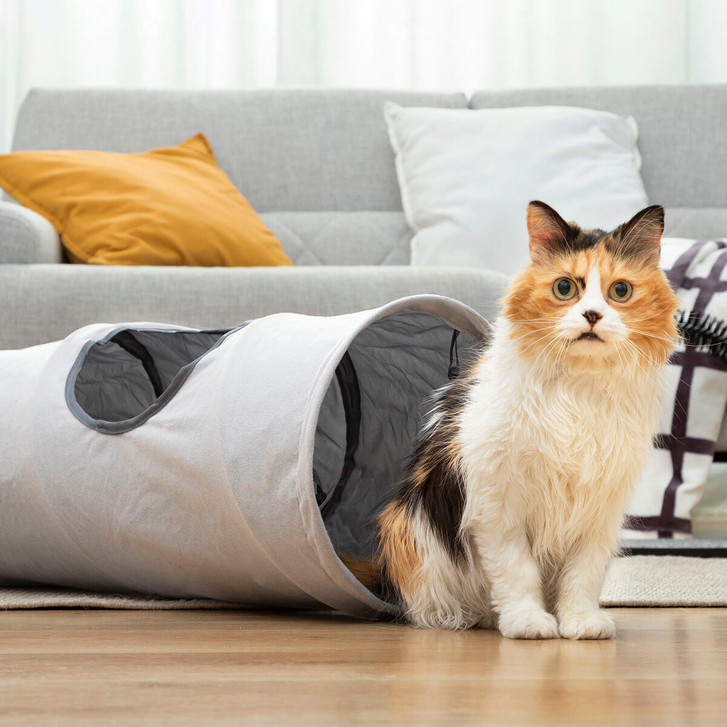 Tunnel de Jeu Pliable pour Chat — 114 cm, Intérieur & Extérieur